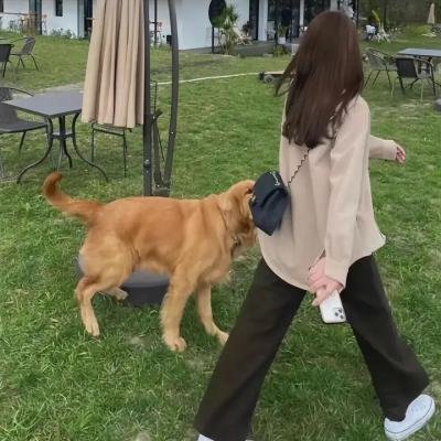 倒数三秒爱上我